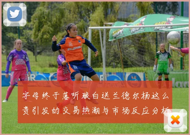 字母终于落听狼白送兰德尔杨这么贵引发的交易热潮与市场反应分析